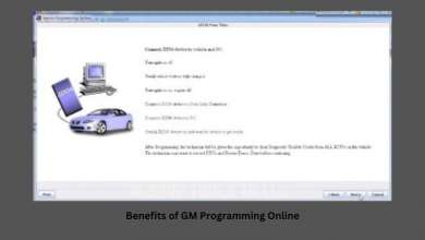 Benefits of Choosing The Best Online Programming Service