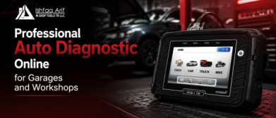 Professional Auto Diagnostic Online for Garages and Workshops